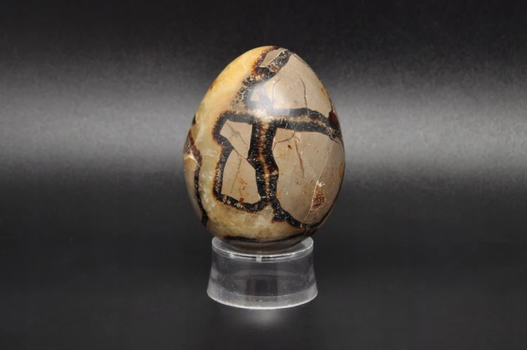 * SEPTARIA MADAGASKAR JAJKO ŚLICZNY OKAZ DOSKONAŁY NA PREZENT NR EGG46 *