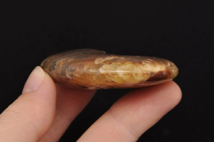 * AMONIT MADAGASKAR NATURALNA SKAMIENIAŁOŚĆ MAŁY OKAZ BŁYSZCZĄCY NR 6 *