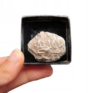 * RÓŻA PUSTYNI MEKSYK RÓŻA PIASKOWA PIĘKNY NATURALNY MINERAŁ NR 6 *