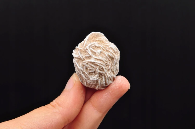 * RÓŻA PUSTYNI MEKSYK RÓŻA PIASKOWA PIĘKNY NATURALNY MINERAŁ NR 6 *