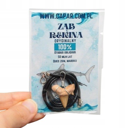 * ZĄB PREHISTORYCZNEGO REKINA MAROKO ZAWIESZKA CZARNY NASZYJNIK LOSOWE *