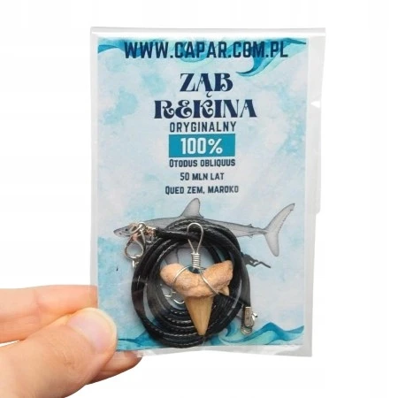 * ZĄB PREHISTORYCZNEGO REKINA MAROKO ZAWIESZKA CZARNY NASZYJNIK LOSOWE *