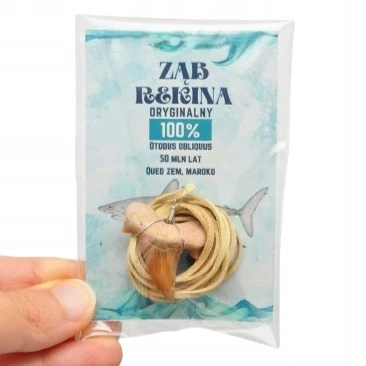 * ZĄB PREHISTORYCZNEGO REKINA ZAWIESZKA NA JASNYM RZEMYKU MAROKO LOSOWE *