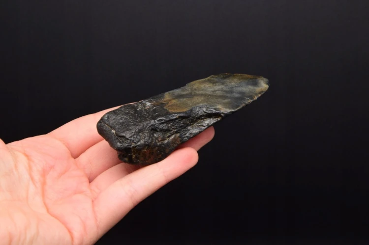 * MEGALODON REKIN INTERESUJĄCY SKAMIENIAŁY ZĄB ŚWIETNY DO KOLEKCJI NR 9 *
