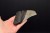 * MEGALODON REKIN SKAMIENIAŁY ZĄB POŁÓWKA ŚWIETNA SKAMIENIAŁOŚĆ NR 12 *
