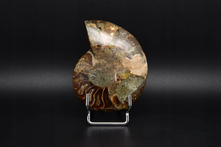 * AMONIT MADAGASKAR ORYGINALNA SKAMIELINA SUPER OKAZ NR 5A *