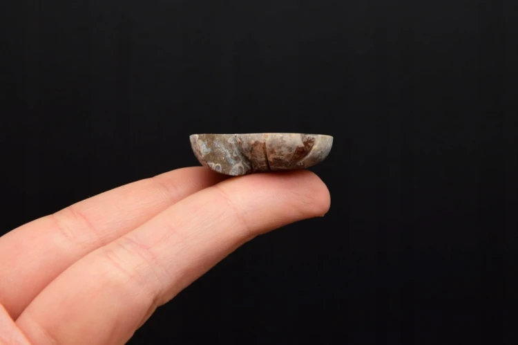 * AMONIT KOMPLET MADAGASKAR ELEGANCKA SKAMIENIAŁOŚĆ W RAMCE 3D NR 4 *