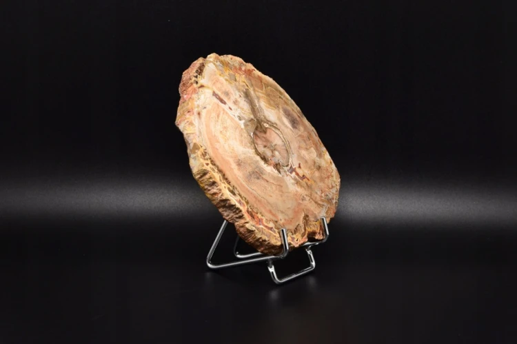 * SKAMIENIAŁE DREWNO MADAGASKAR ŚLICZNY PLASTER PIĘKNA DEKORACJA NR 8 *