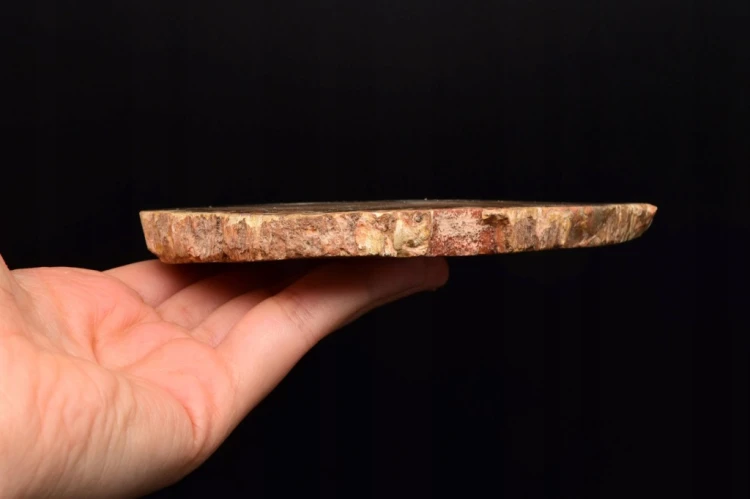 * SKAMIENIAŁE DREWNO MADAGASKAR ŚLICZNY PLASTER PIĘKNA DEKORACJA NR 8 *