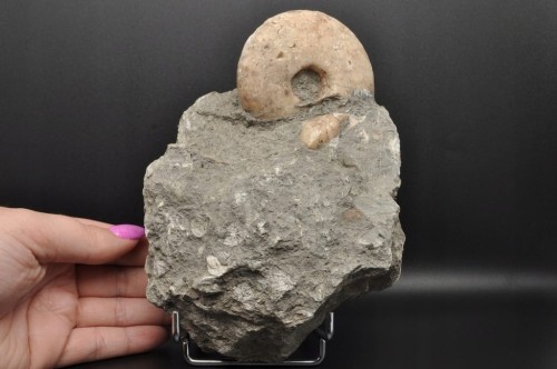 0a739e3f9a4c8746e5b3f15600017019