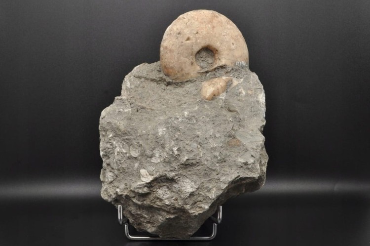 e2bee3dad95dc03888ef3dfb07955aed