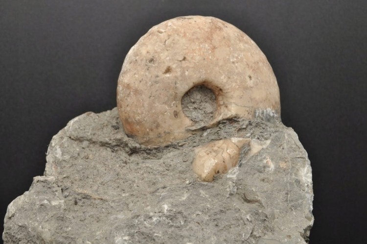 3ce528c8280775fc19be046fd891c60f