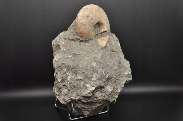 703b357a336220ad0d2f11ef4e8f40bb