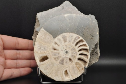 a3470e31dde3ddaf8cec69bf7ba3e66d