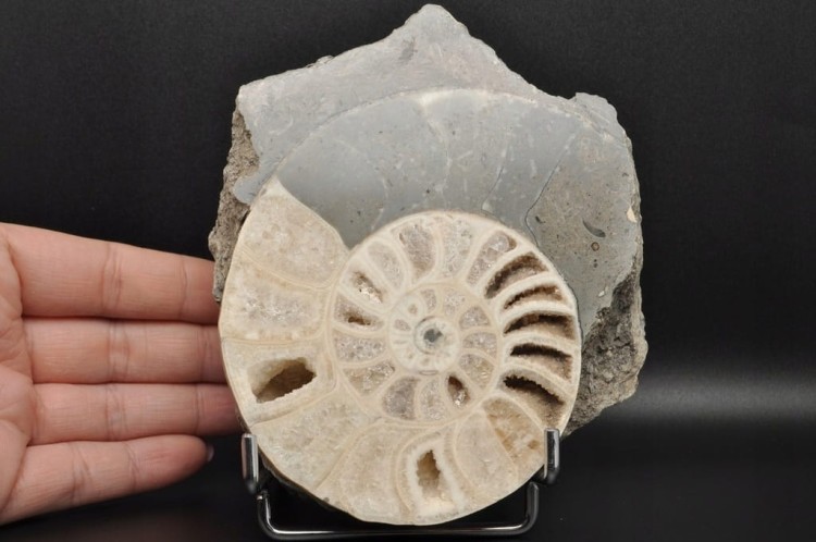 a3470e31dde3ddaf8cec69bf7ba3e66d