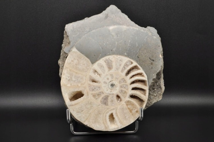 073fa7611588260edd3694dd306de611