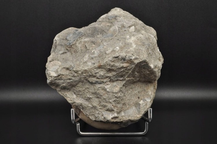 60424ef6de88565ecb98cff6e5cac712