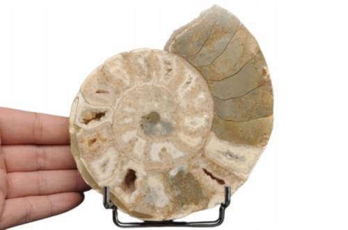 58187c48eb0d2ba1b02e61594b874663