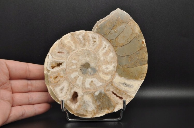 f6010fb45c2ebeb4e68bb64aab50c074