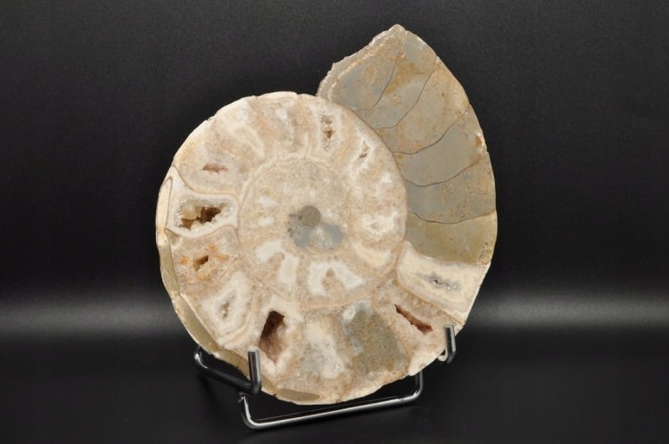 4f1f3521717bfb4db8b27dc9197682b7