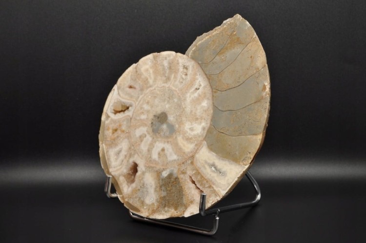 8f75da0e6b878c1aabc5c029bc3e12a9