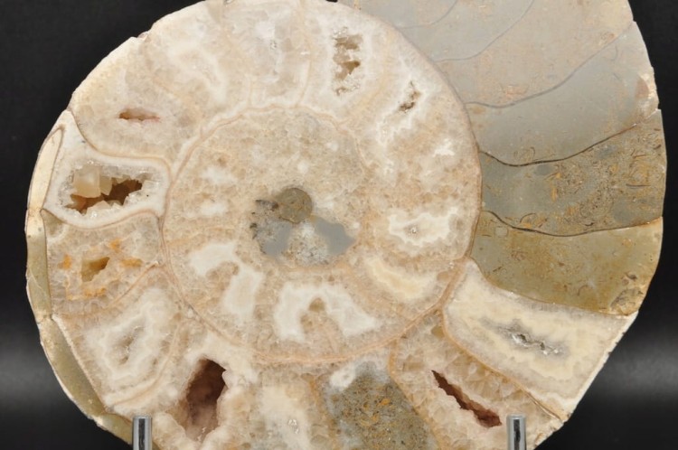 5779bce726e93febbaeb489dfc601f64