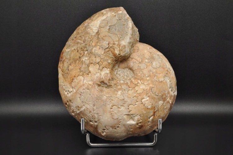 bad3de51cc833610bcb9f00f7e9b19a1