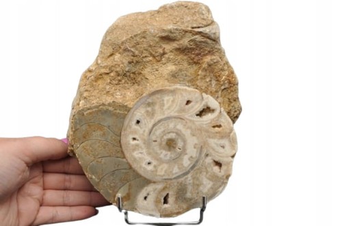 856360940376fac6995be998cc4ece91