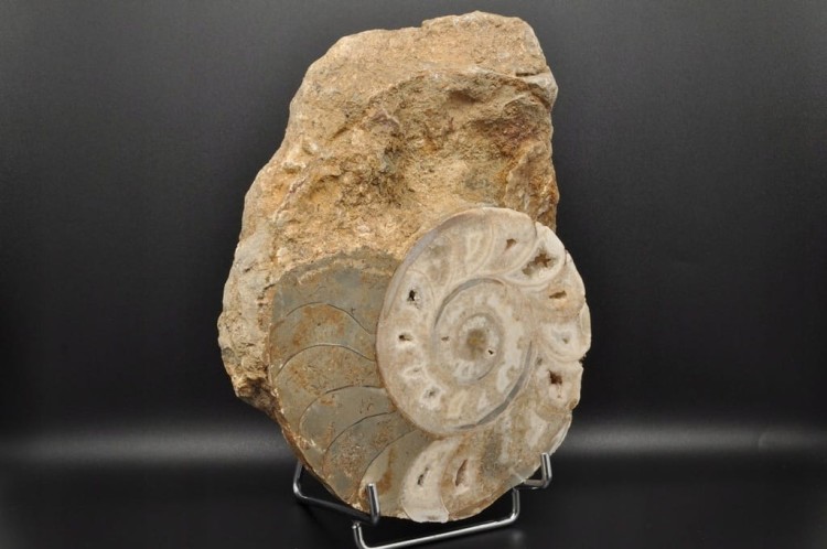 6a78eae2b27e29d5bcc459ccb5d4fe4c