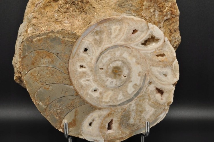 1d9e80da4adb63ee497465b6d84843bf