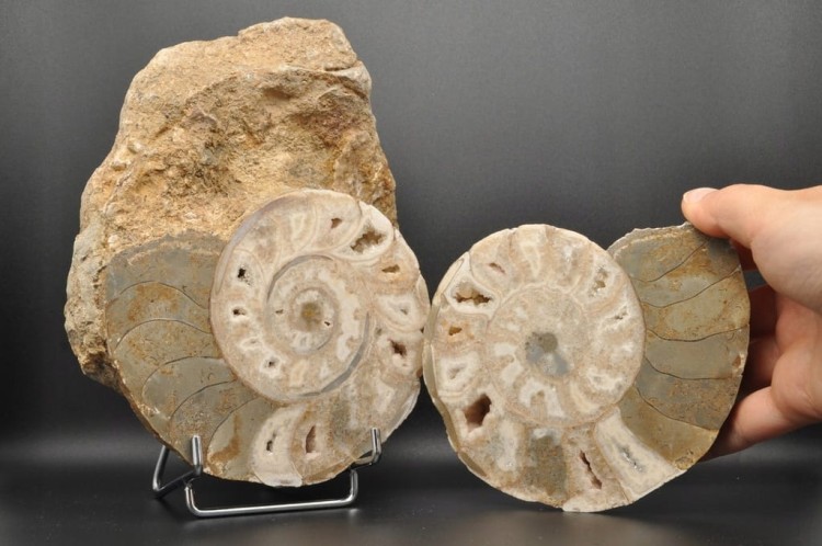 b5d0feca6efd42062e51fc9741b63089