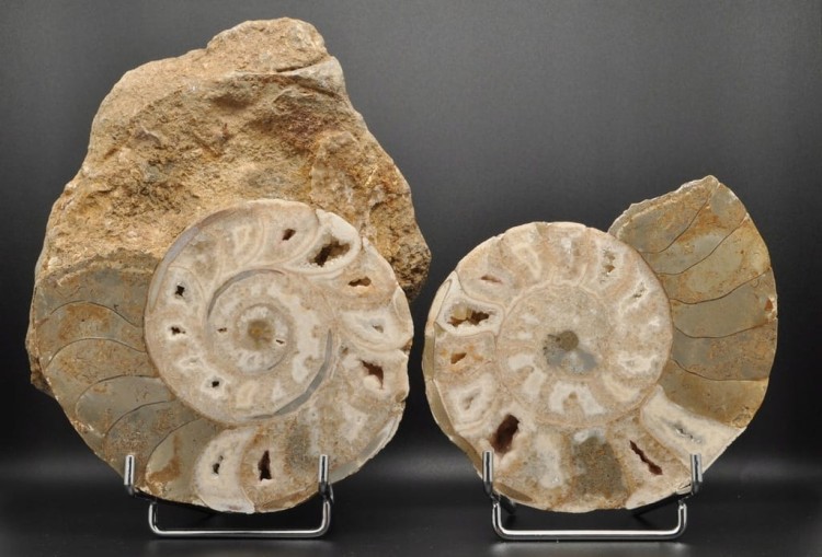 906467940d1c9997be1dc9f69098c0a3