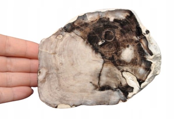 41100121be0a1c2fb499c89817d92532