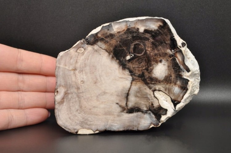 b1f901dc192b642e87207c948dc6e29b