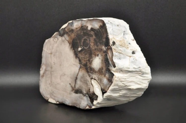 5739bff66c7a0ef879c3decfc7b06cb5