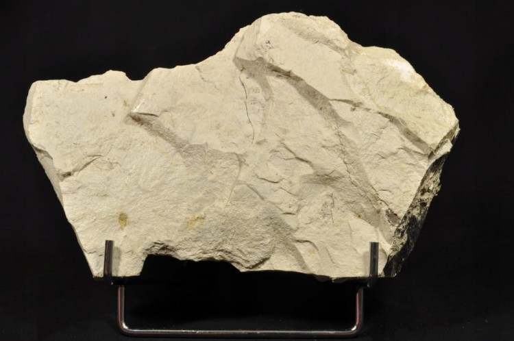 2f1a68929c8d52063601365760e2e303