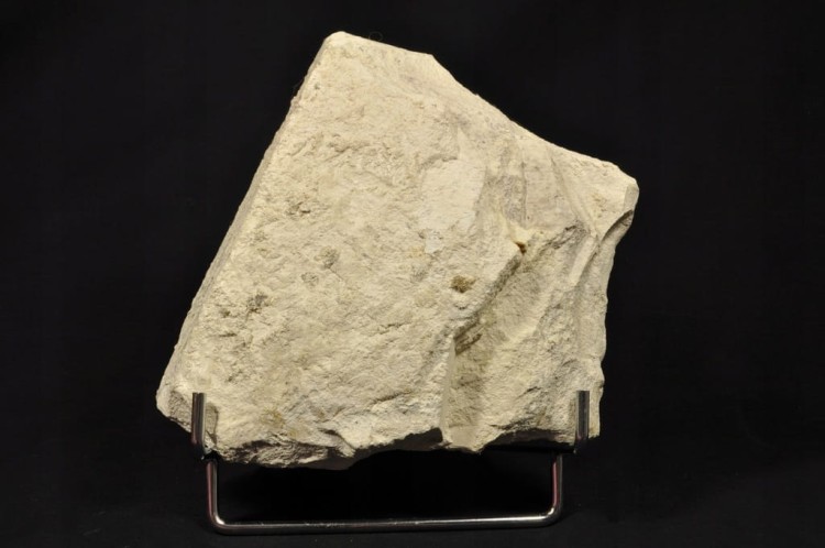 ab93cabfb6652b55674ded6ff1ee004d