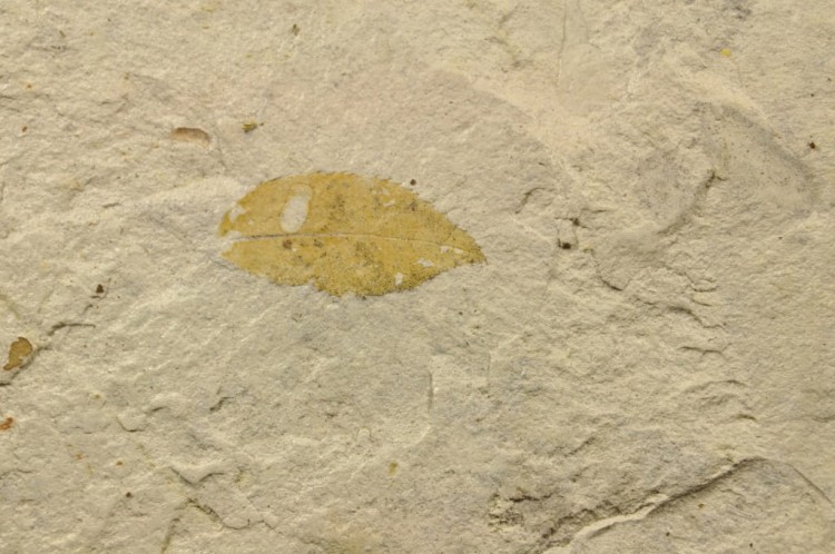 566799fabc2202138a01c4e1305107fd