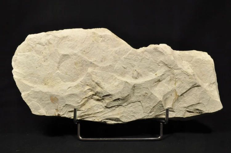 390425d515c873848c713c4ce1f37b5b