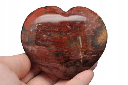 1dbe7e5263d726497aff40aea2094200