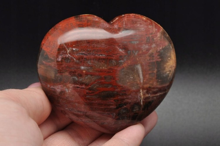 59a8752c78a1b5e5edc5073f1b89741e