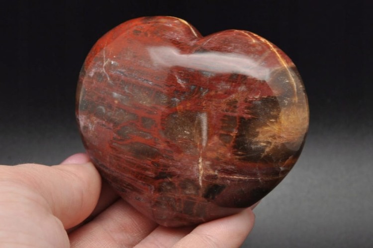 4693e784d408bcc8f45e9451369106b5