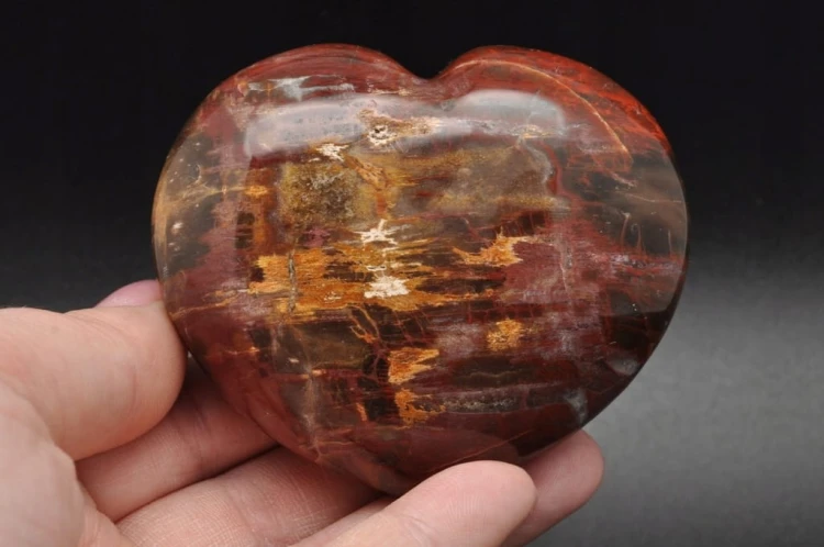 10471f741909e8dcaa542fc991cbe897