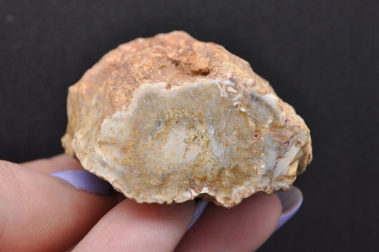 3a12e73a672e9246571594626c95e442