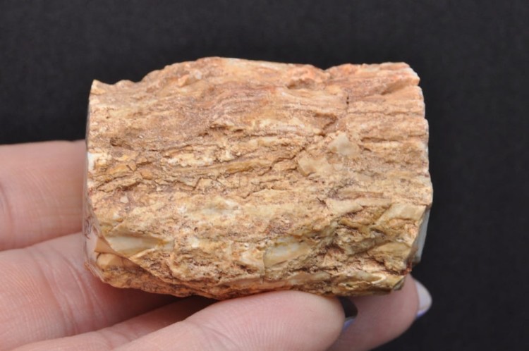 c93835c1ca4841f1643386c324fe71f5