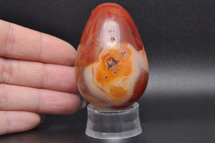 76e726495468fd6d70555b50b410a55f