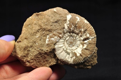 7f63196def265da9b9d07e25b5bf8a3f