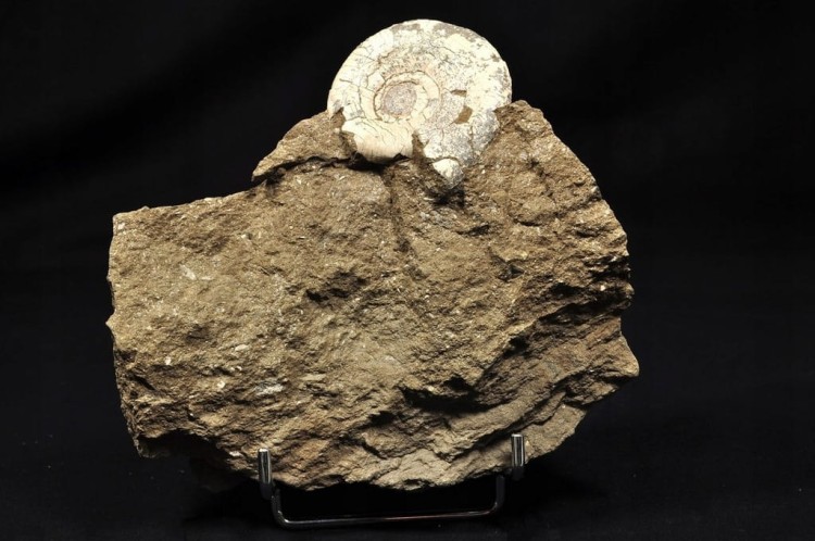 9af9a81264e73763fb922a8828fe6f3a