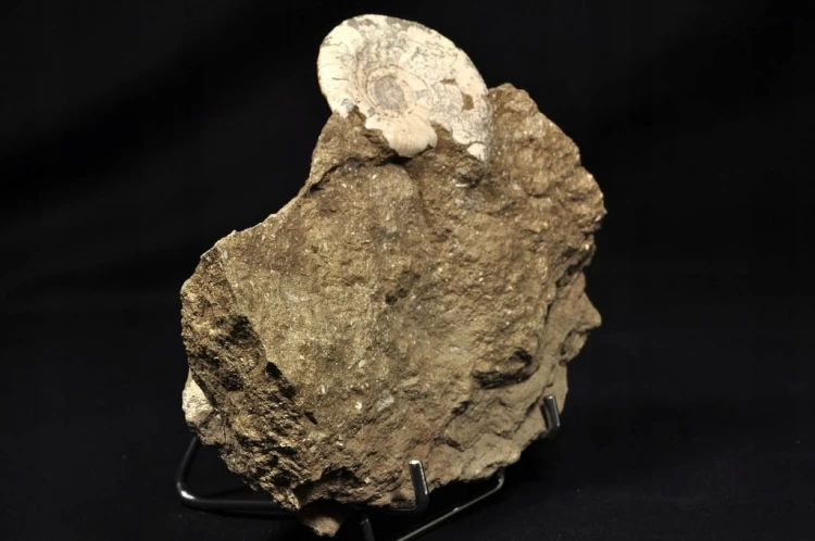 4310f31bd0921c53d10a2ac6680fb1e1