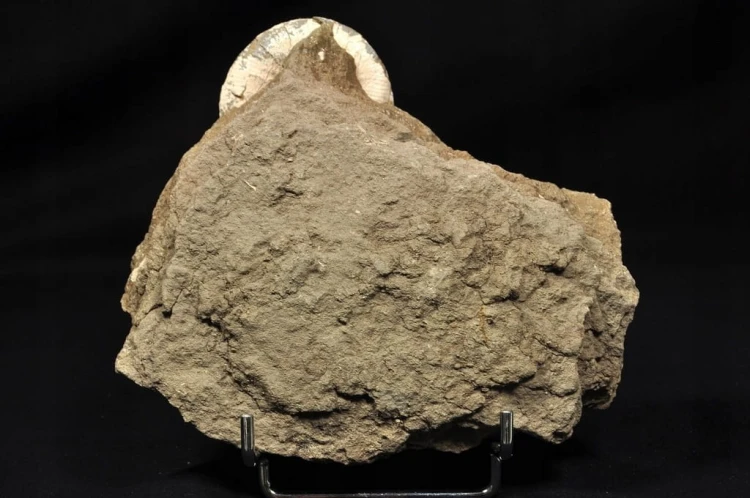 2c0fa5169d2ded716b1b81a1ecfd992d